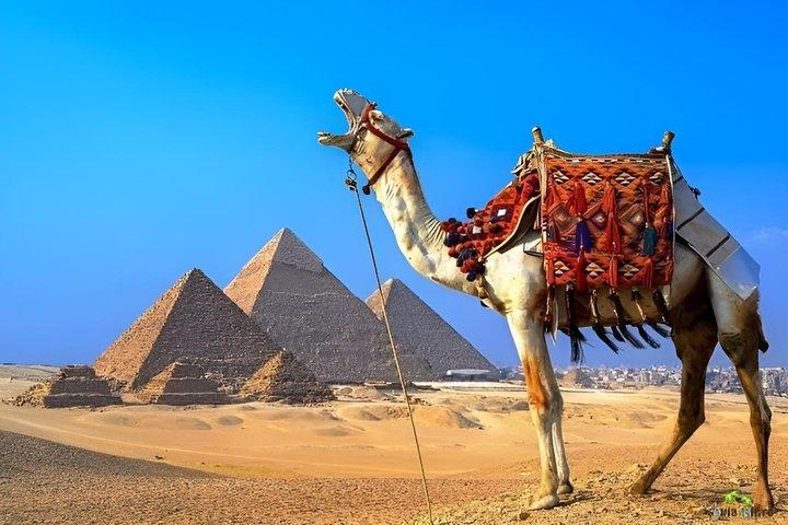 Privétour Piramides van Gizeh Sfinx en Groot Egyptisch Museum