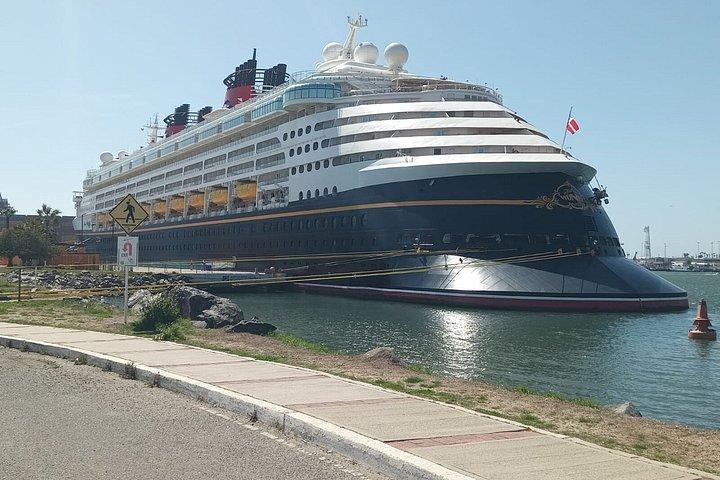 最高のサイト：ブローホール+シティツアー、タコスカスタムショアエクスカーション