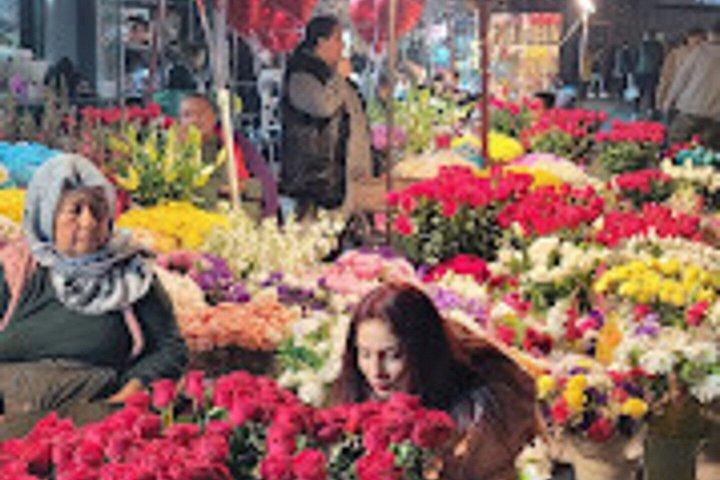 Guided Walking Tours - Taste & Tales of Istanbul