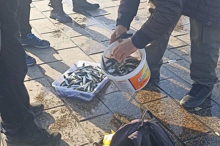 Guided Walking Tours - Taste & Tales of Istanbul
