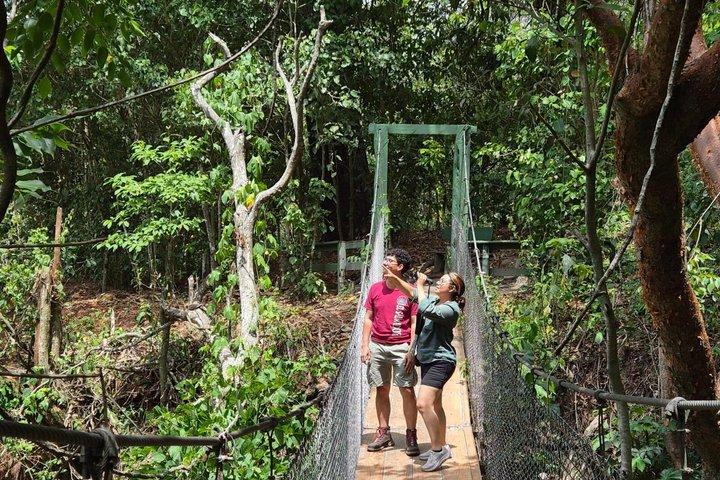 El Espino Eco Park Birdwatching Tour with a Naturalist Guide