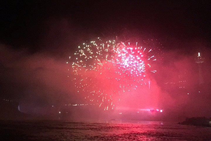 ナイアガラの滝ナイト イルミネーション ツアー : アメリカ滝、ブライダル滝、ホースシュー滝