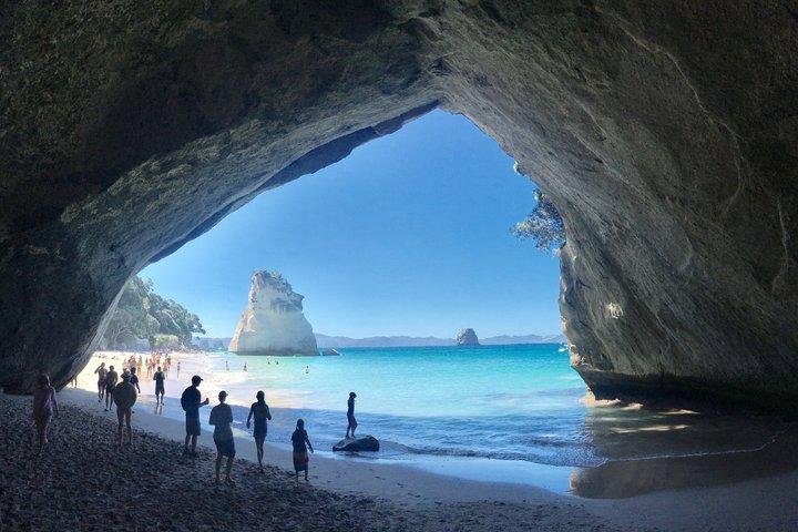 Excursion d'une journée à Cathedral Cove au départ d'Auckland