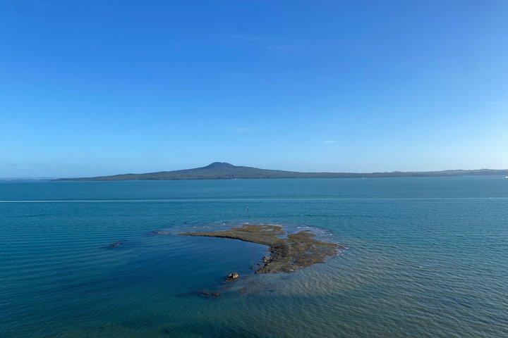 Excursion demi-journée aux volcans au départ d'Auckland