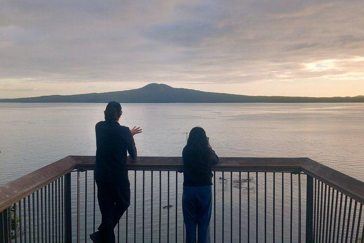 Excursion demi-journée aux volcans au départ d'Auckland