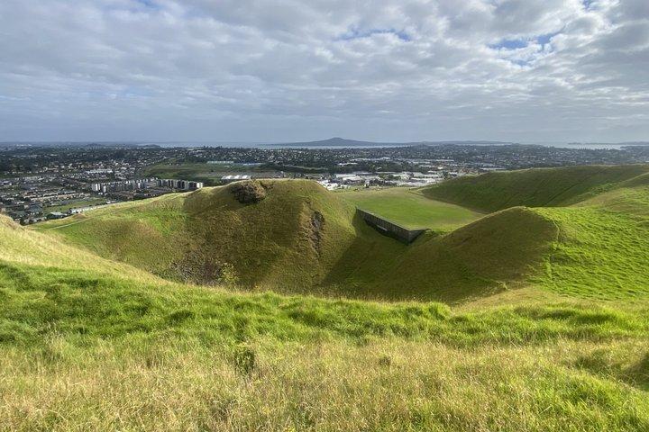 Shore Excursion: Half-Day Auckland Volcanoes Tour
