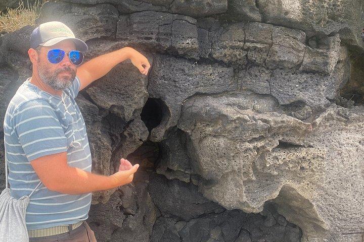 オークランドの火山、海岸、穴場を巡るアフタヌーンツアー
