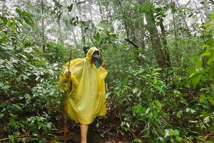 Wild Adventures: Doi Saket Hidden Jungle Trek & Waterfall