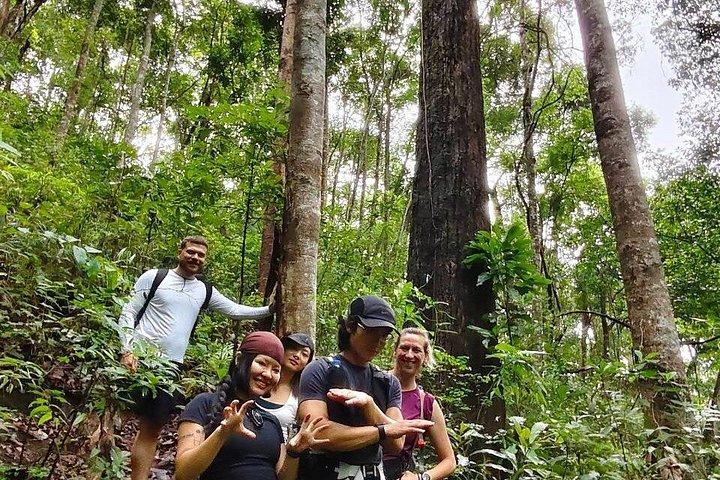 Wild Adventures: Doi Saket Hidden Jungle Trek & Waterfall