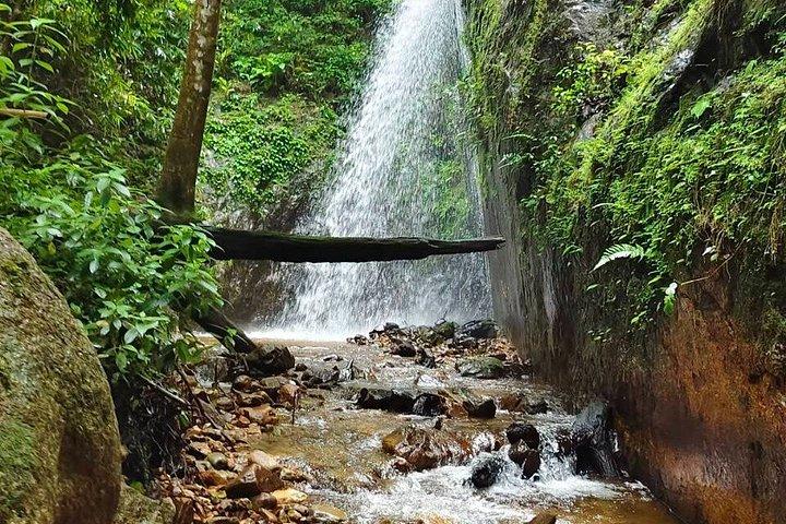 Wild Adventures: Doi Saket Hidden Jungle Trek & Waterfall