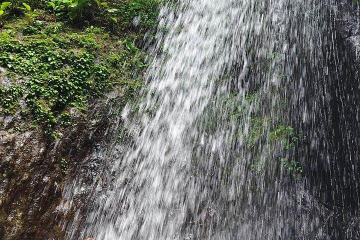 Wild Adventures: Doi Saket Hidden Jungle Trek & Waterfall