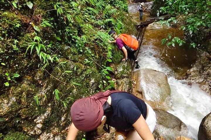 Wild Adventures: Doi Saket Hidden Jungle Trek & Waterfall