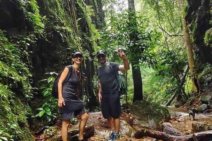 Wild Adventures: Doi Saket Hidden Jungle Trek & Waterfall