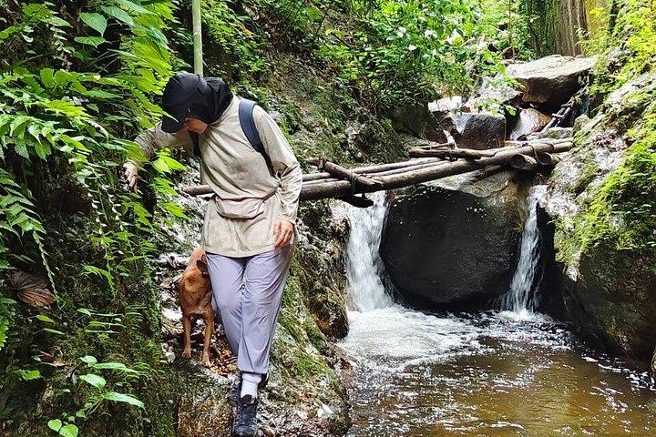 Wild Adventures: Doi Saket Hidden Jungle Trek & Waterfall