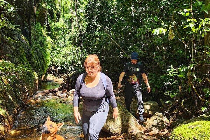 Wild Adventures: Doi Saket Hidden Jungle Trek & Waterfall