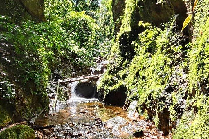 Wild Adventures: Doi Saket Hidden Jungle Trek & Waterfall