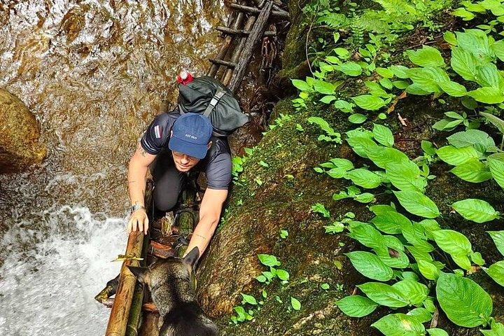 Wild Adventures: Doi Saket Hidden Jungle Trek & Waterfall