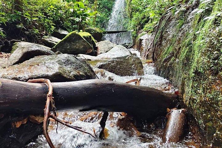 Wild Adventures: Doi Saket Hidden Jungle Trek & Waterfall
