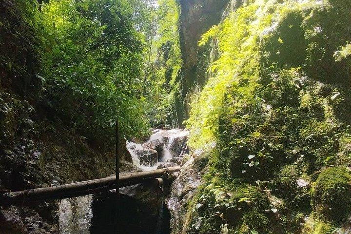 Wild Adventures: Doi Saket Hidden Jungle Trek & Waterfall