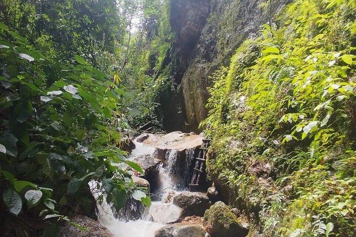 Wild Adventures: Doi Saket Hidden Jungle Trek & Waterfall