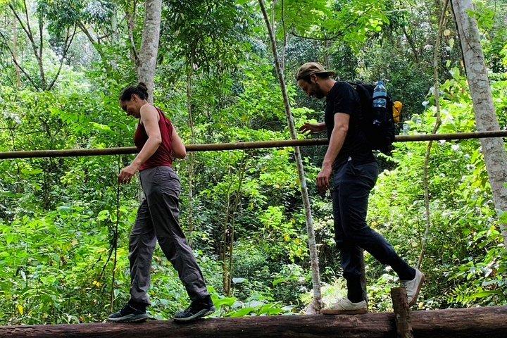 Wild Adventures: Doi Saket Hidden Jungle Trek & Waterfall