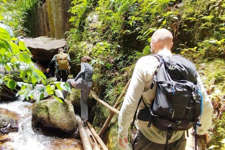 Wild Adventures: Doi Saket Hidden Jungle Trek & Waterfall