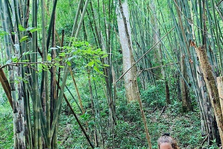 Wild Adventures: Doi Saket Hidden Jungle Trek & Waterfall