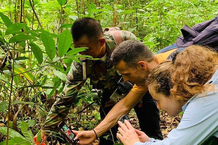 Wild Adventures: Doi Saket Hidden Jungle Trek & Waterfall