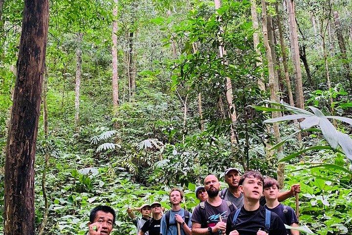 Wild Adventures: Doi Saket Hidden Jungle Trek & Waterfall