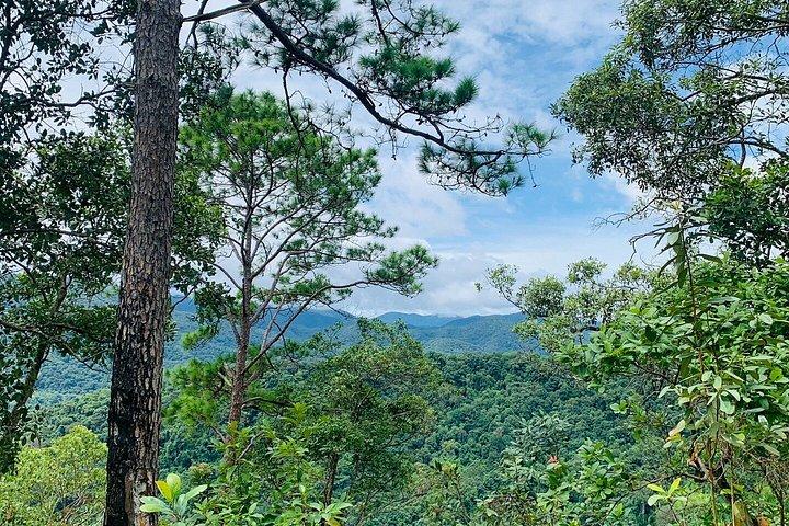Wild Adventures: Doi Saket Hidden Jungle Trek & Waterfall