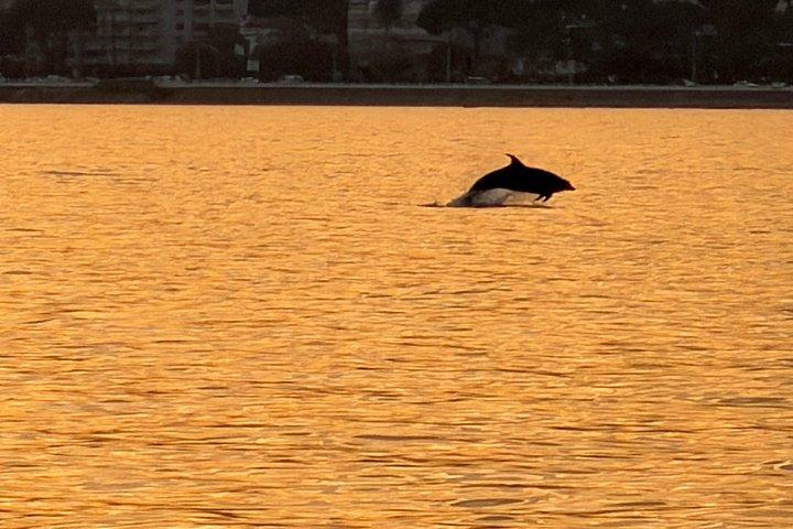 Sinbad-Lerins island Private Cruises