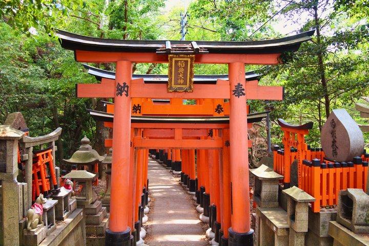 Excursión privada de un día a Kyoto Nara con guía y vehículo