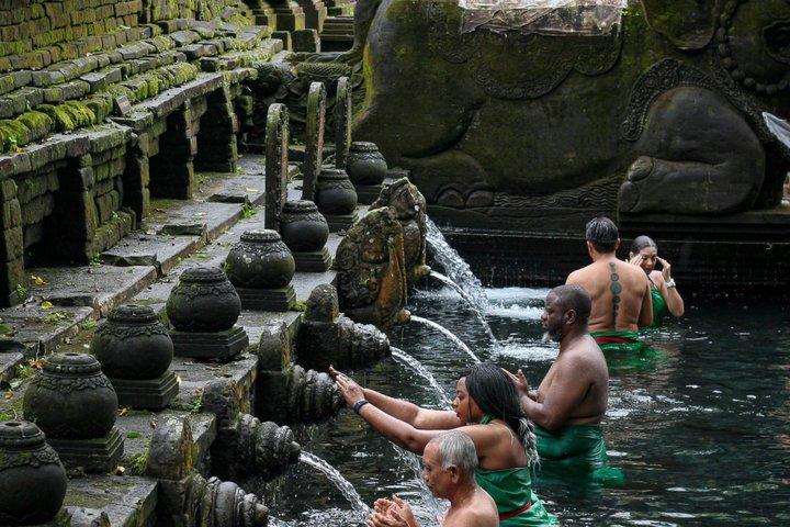 プライベート・バリ・ウブドハイライトツアー：文化、自然、隠れた名所