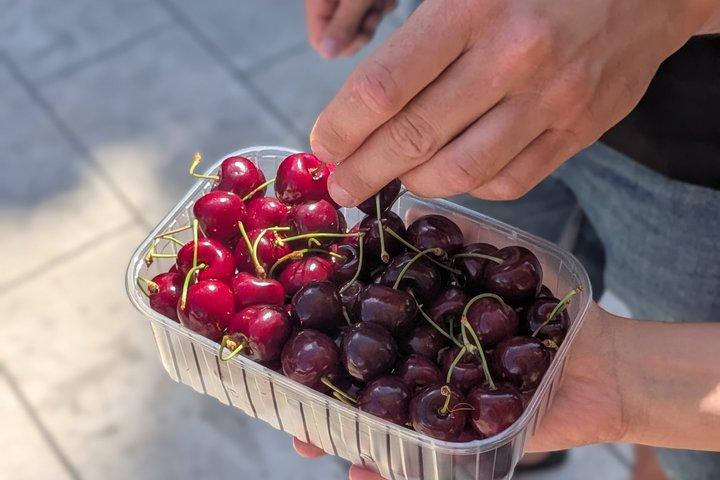 Zadar City Market Food Tour 2026 – Ett smakprov på det lokala livet