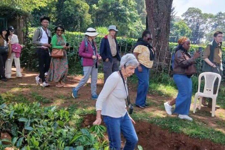 Nairobi: Kiambethu Tea Farm Tour com almoço