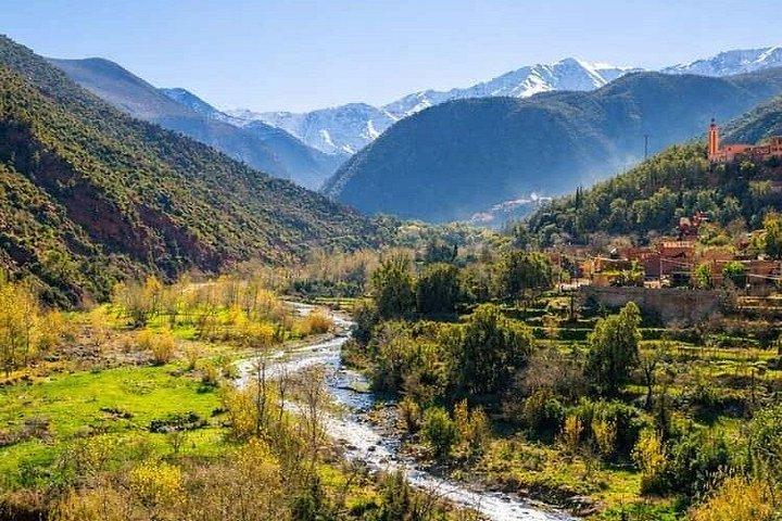 プライベート日帰り旅行：オウリカバレー＆ハイアトラス山脈への脱出