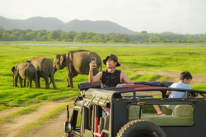 Tour privato di safari al tramonto di lusso al Parco Nazionale Minneriya