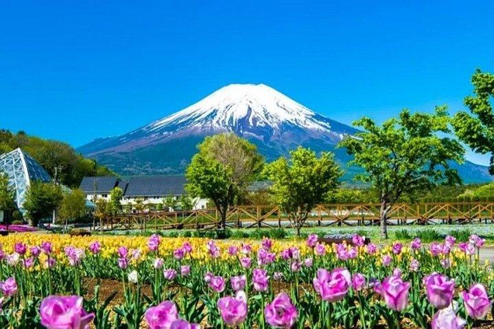 富士山と箱根のプライベートツアー（高級車付き）