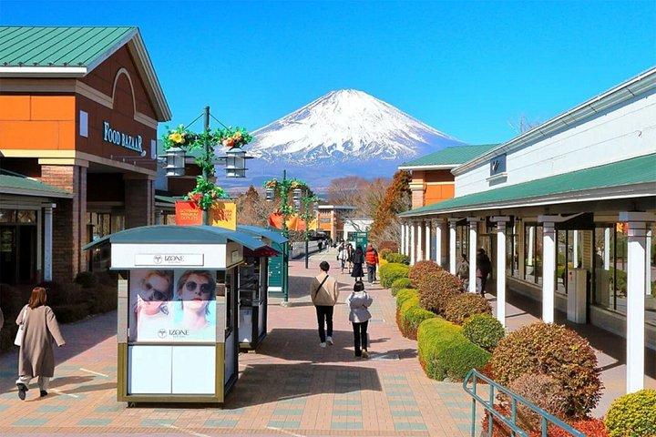 富士山と箱根のプライベートツアー（高級車付き）