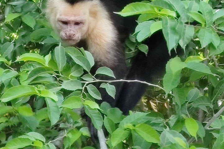 Birdwatching hiking tour