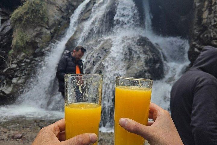 Gita di un giorno privato di lusso: montagne dell'Atlante e visita della famiglia berbera