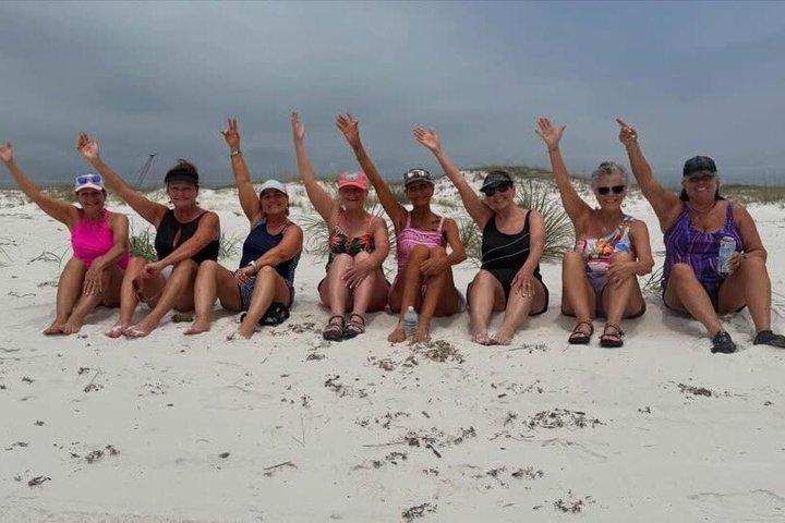 Frisky Mermaid Dolphin Cruise com uma parada de praia isolada