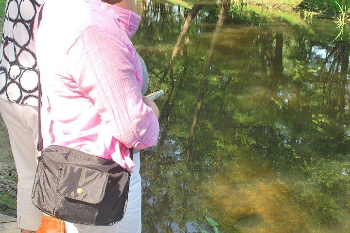 ワルシャワ発マゾフシェ田舎プライベートツアー