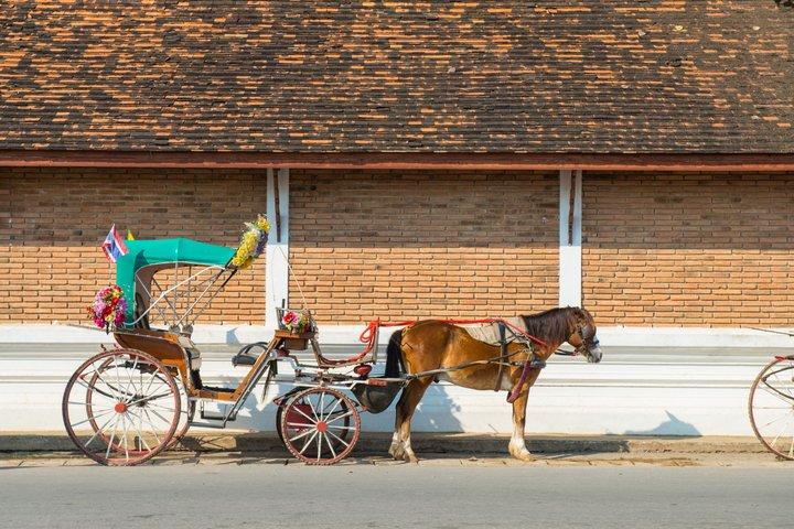 チェンマイ発ランパーン馬車とルースターボウル