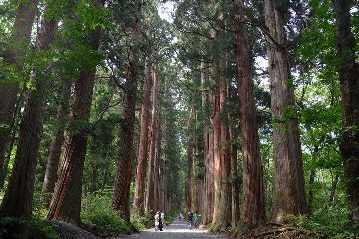 3-daagse Noordelijke Nagano Erfgoed- en Natuurtour