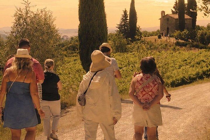 Siena: Excursão ao pôr do sol em Chianti com jantar de degustação