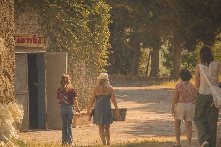 シエナ：キャンティ地方の夕日ツアーとテイスティングディナー