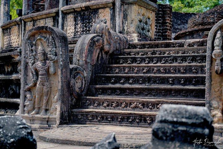 Visitare le rovine storiche di Polonnaruwa e Minneriya Safari