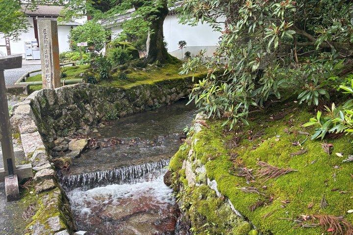 京都哲学者の道&歴史の先生と歩く南禅寺