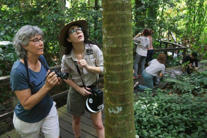ケアンズ：夜の野生動物散歩